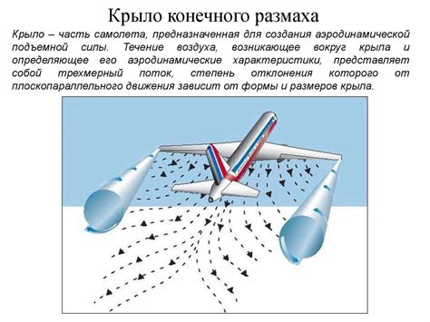 Функционирование крыла и его аэродинамические особенности