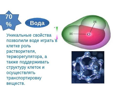 Химический состав молекулы 01