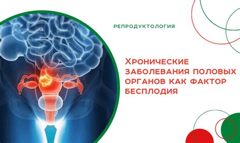 Хронические заболевания глаза как главный фактор риска