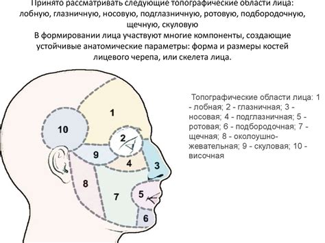 Четвертый шаг: обливание лица и головы