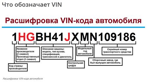 Что делать, если отсутствует VIN номер в ПТС?