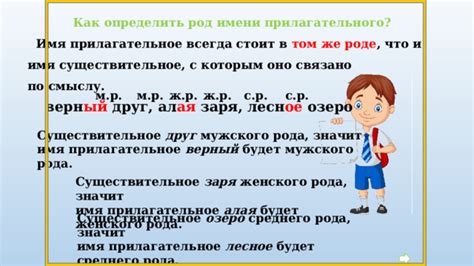 Что значит прилагательное и как оно работает?