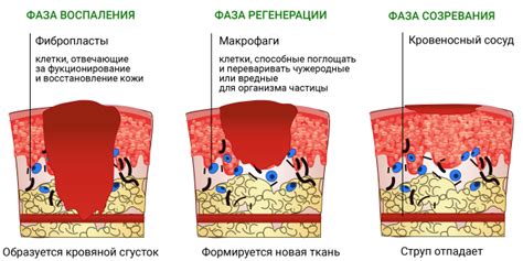 Что предпринять, если покраснение не исчезает после ожога в области лица