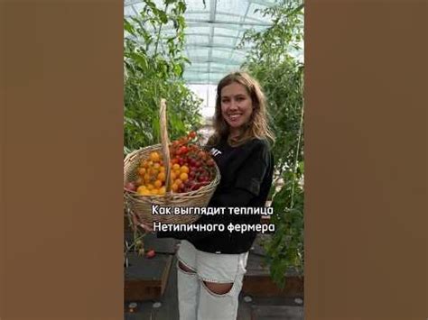 Что произошло с блогом нетипичного фермера?