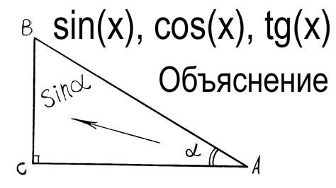 Что такое синус и как его измерить?