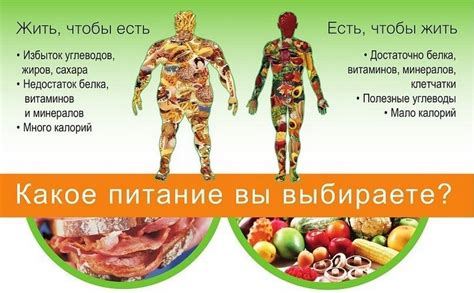 Шаг 1: Правильное питание для сохранения вкусовых прелестей