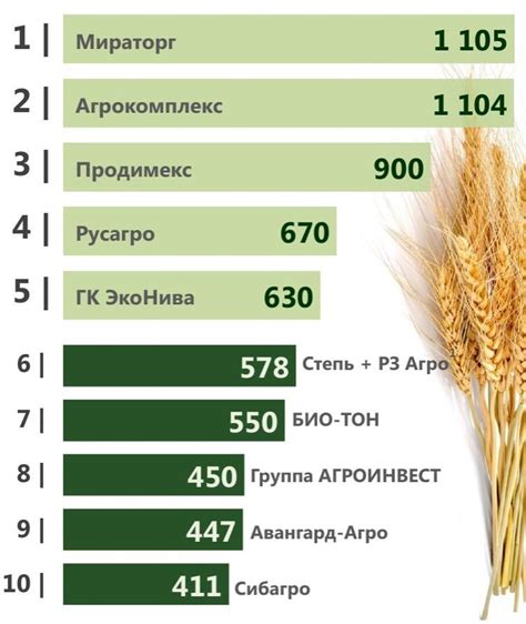 Шаг 3: Этапы изменения статуса сельскохозяйственной земли на коммерческую