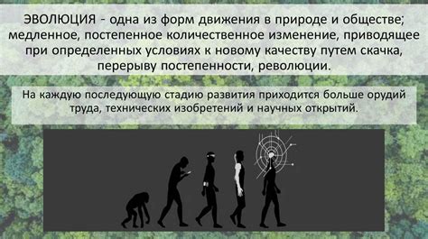 Эволюция в битве: постепенное внедрение инноваций и расширение возможностей