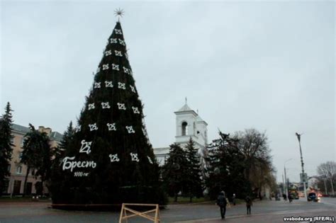 Эволюция символики елки в культурной и исторической перспективе