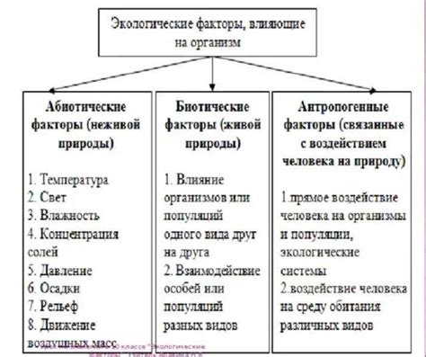 Экологические факторы, воздействующие на процесс формирования плодов