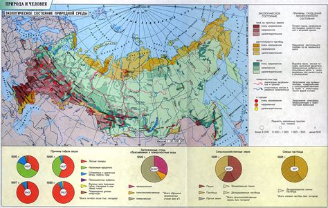 Экологическое значение решения проблемы деформации природной среды