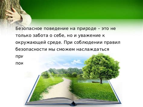 Экологическое поведение при разведении костра: забота о природе