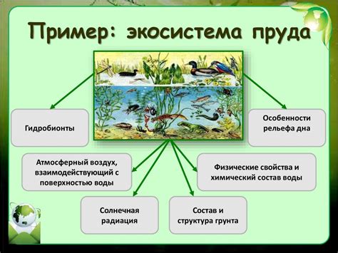 Экосистема и поддержка сообщества