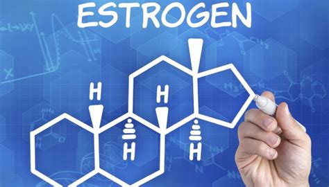 Эстрогены в женском организме: ключевые характеристики и функции