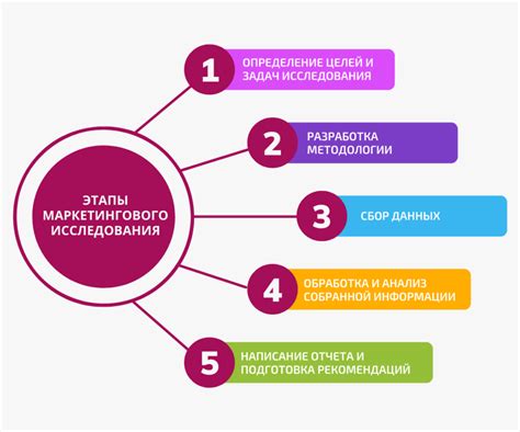 Этапы проведения исследования