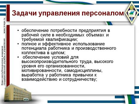 Этапы работы и основные задачи отдела кадров: от подбора до управления персоналом