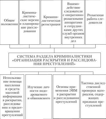 Этапы раскрытия преступления: распознавание жертвы и начало первоначального расследования