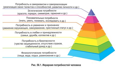 Этап зрелости: повышение потребности в сне и уменьшение активности