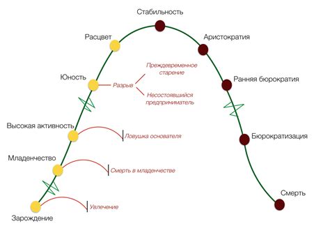 Этап 3: Формирование облика в соответствии с основой будущих ореолов