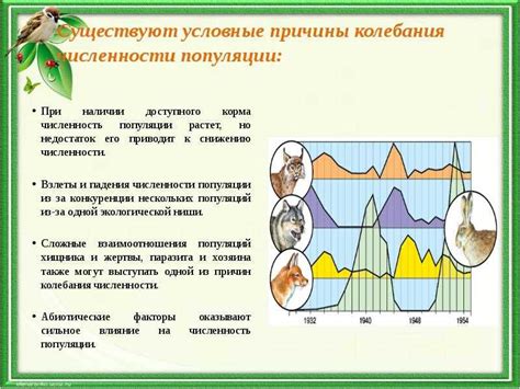 Этичные принципы при сборе бабочек для сохранения