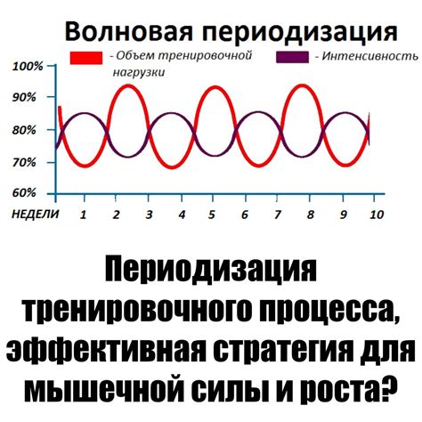 Эффективная настройка эллипса для оптимального тренировочного процесса