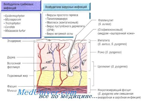 Эффективная обработка повреждений кожи и соседних тканей