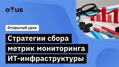 Эффективные стратегии сбора разнообразных существ при помощи инновационного аппарата