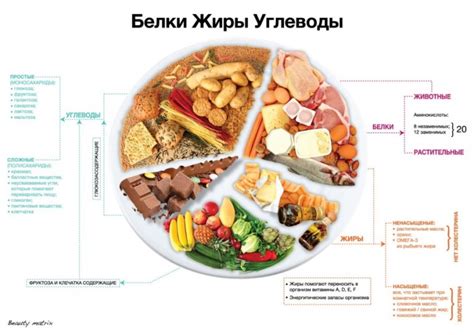  Белки как основа питания для уменьшения объема живота 