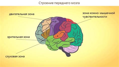  Важнейшие составляющие в изучении обществознания 