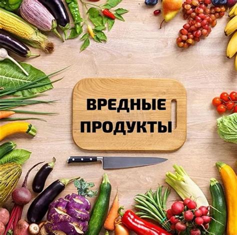  Важность исключения жировых продуктов и масел из рациона домашних питомцев 