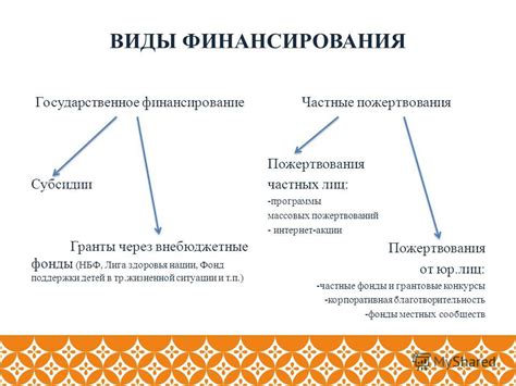  Виды финансирования Spore: понимание основы инвестиций в бизнес 