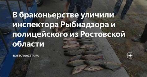  Влияние Рыбнадзора на рыбопромышленность: перспективы и возможности 