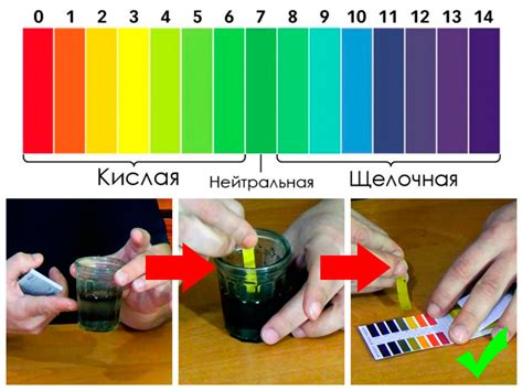  Влияние кислотности почвы на рост и цветение гортензий 