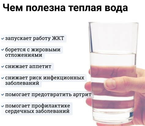  Вода – фундамент правильного питания 