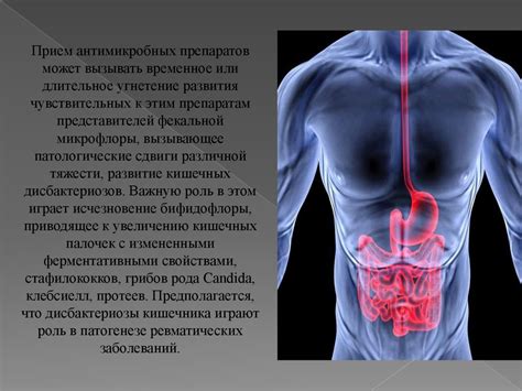  Значение левой стороны в поддержании пищеварительного процесса 