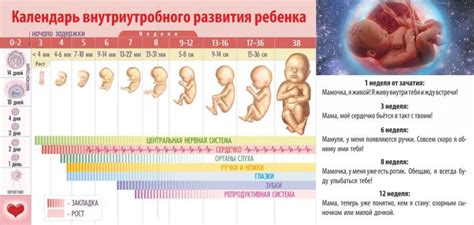  Изменения в движениях плода 