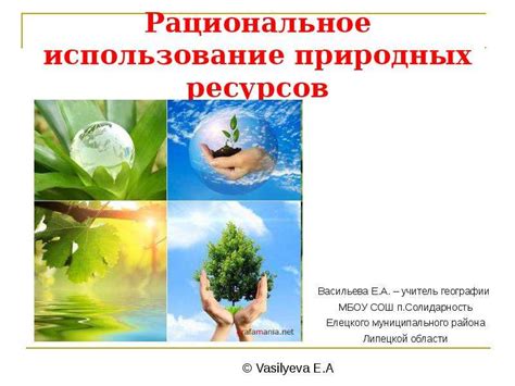  Использование природных продуктов для устранения неприятного аромата пищи морепродуктов на коже
