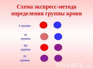  Исследование группы крови посредством метода косвенной пробы 