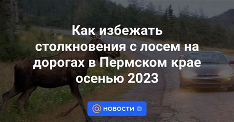  Как избежать столкновения с лосем на дороге: рекомендации для водителей 