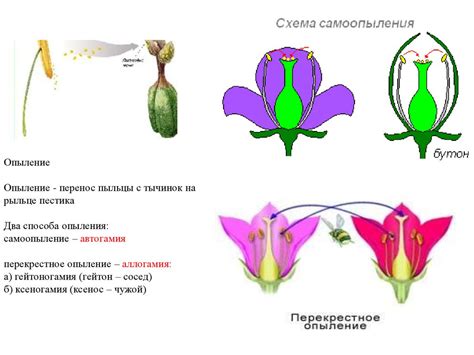  Как повысить опыление 