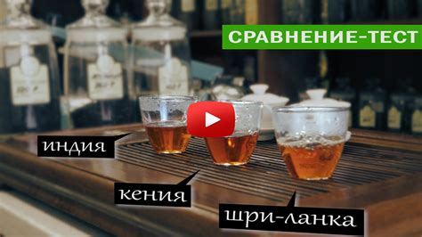  Как придать жасминовому чаю уникальные ароматы и вкусы 