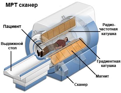  Как устроен ксерокопировальный аппарат и как получить высококачественные копии?
