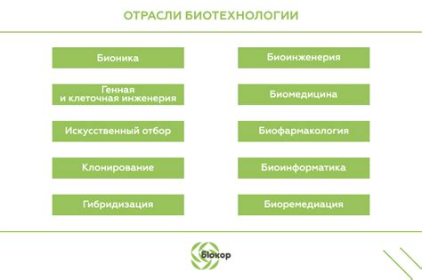  Ключевые направления и задачи в области цифрового прогресса