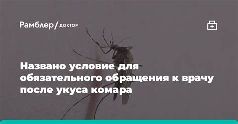  Когда необходимо обратиться к врачу после укуса комара?
