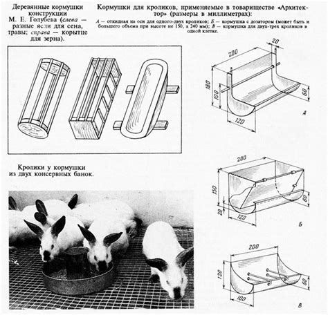  Кроки процесу створення кормушки для кроликів зі сталі 