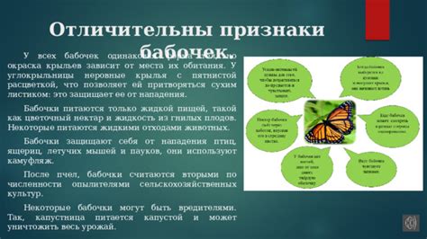  Механизмы взаимодействия с ресурсами внутри и вне места обитания пчел в Вальхейме 