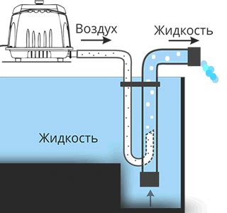  Обратитесь к профессиональному вокалисту или преподавателю речи 