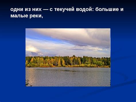  Основные виды и разнообразие углублений с текучей водой 