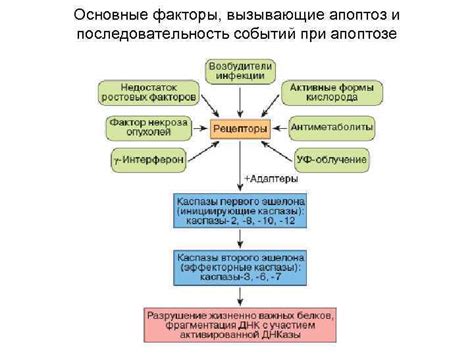  Основные факторы, вызывающие трудности при погашении коммунальных платежей 