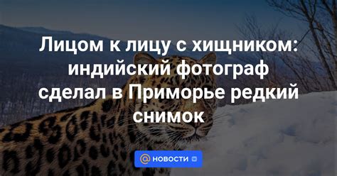  Подготовка к сражению с могущественным хищником
